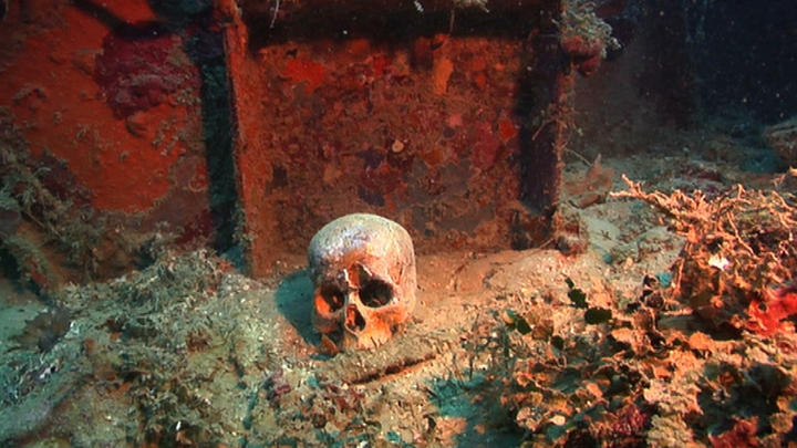 The Blue and the Black