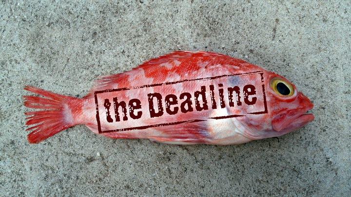 The Deadline
