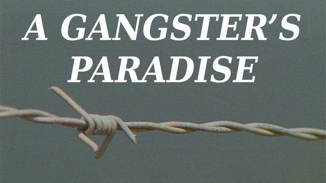 Gangsters' Paradise