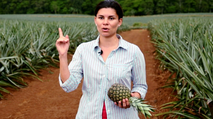 Carbon Neutral lunch