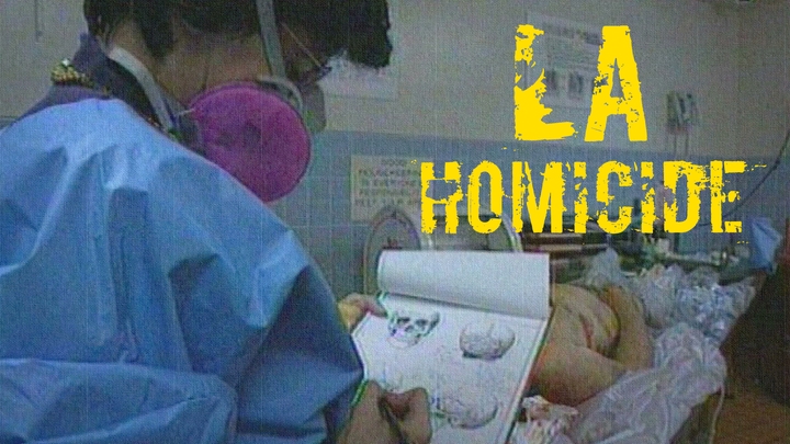 LA Homicide