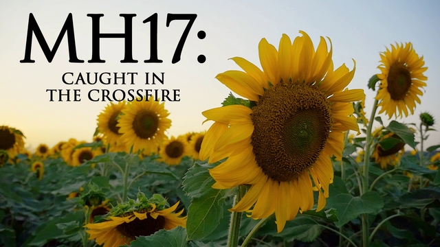 MH17: Caught in the Crossfire