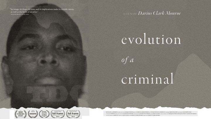 Evolution of a Criminal