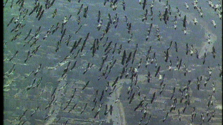 On a Wing And a Prayer