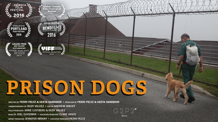 Prison Dogs