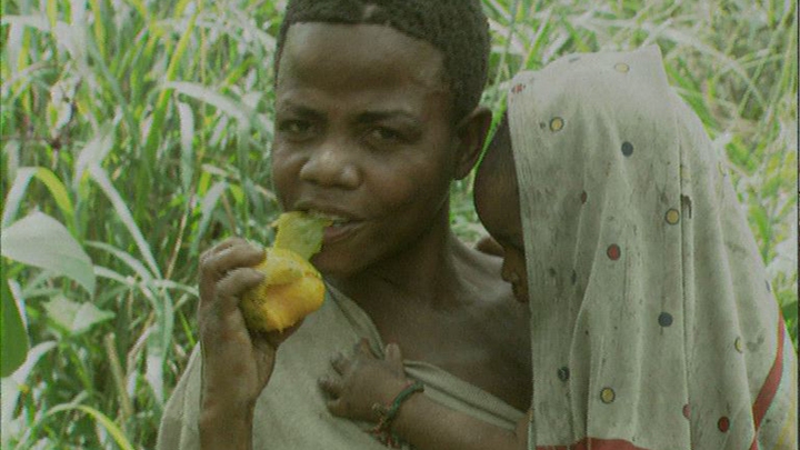 Pygmies and Gorillas at War