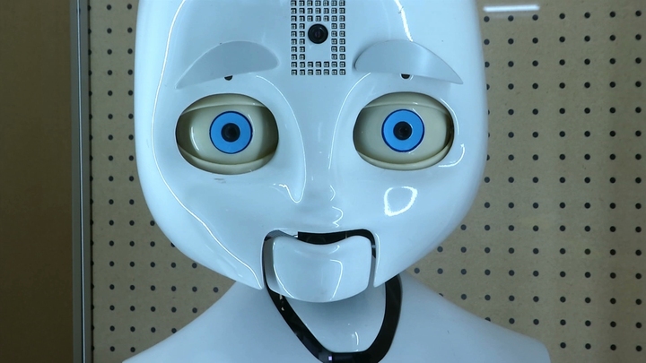 Robot Revolution Robot Revolution