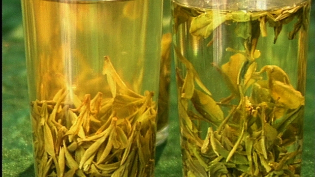 Green Tea: A Brew Of Health