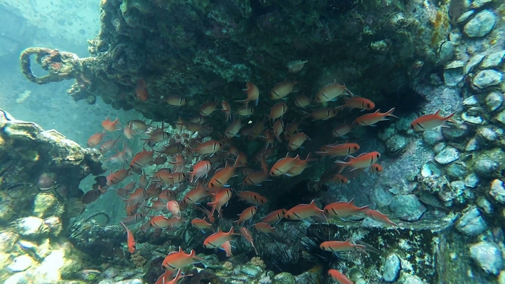 Sao Tome and Principe: Islands For Sale?