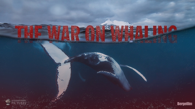 The War on Whaling The War on Whaling