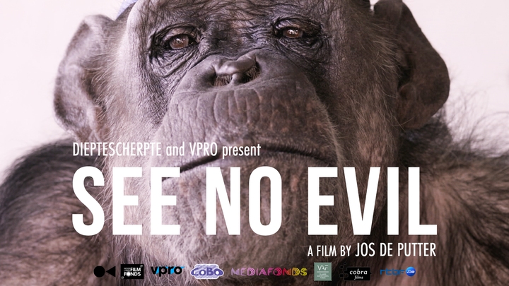 See No Evil See No Evil
