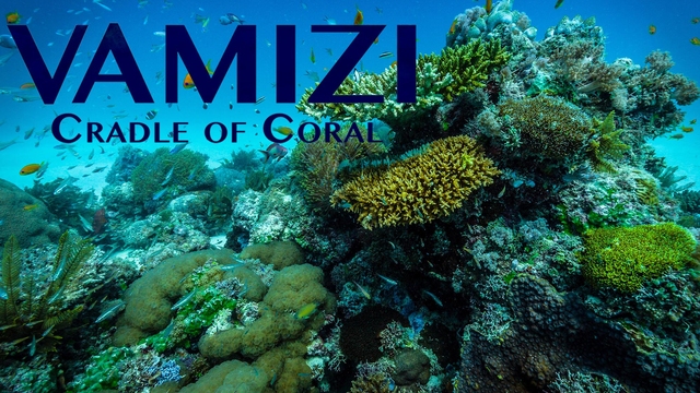 Vamizi: Cradle of Coral