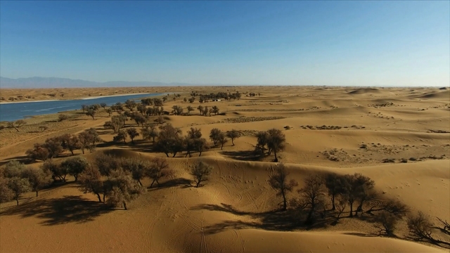 Gobi Desert Sand Warriors
