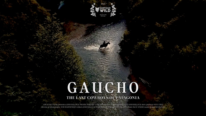 Gaucho