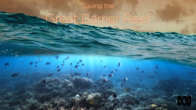 Saving The Great Barrier Reef
