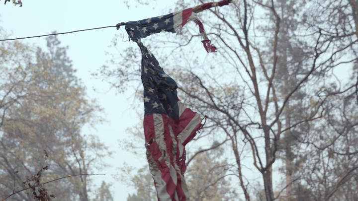 In The Wake Of The Wildfire