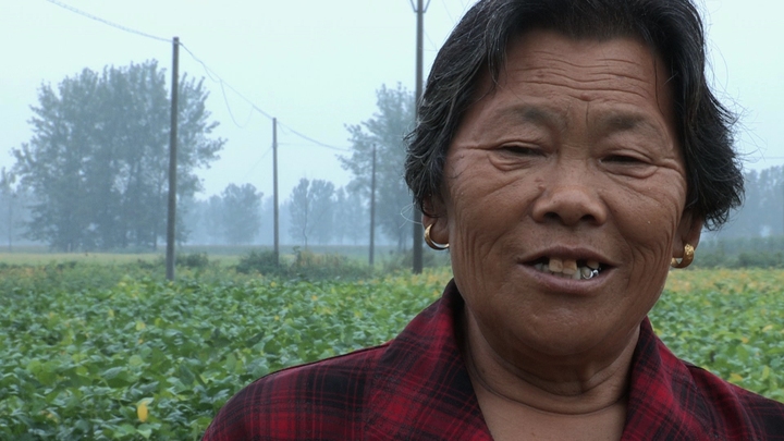 Chinese Dream Chinese Dream