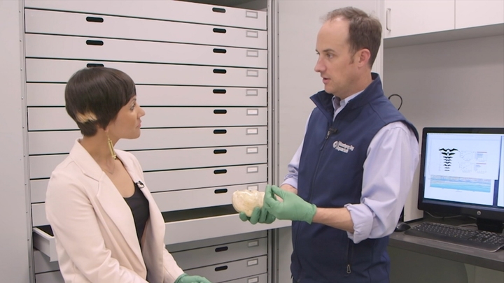 Historians of the Ocean