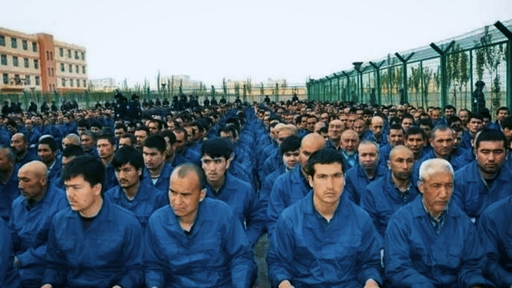 Nowhere to Call Home