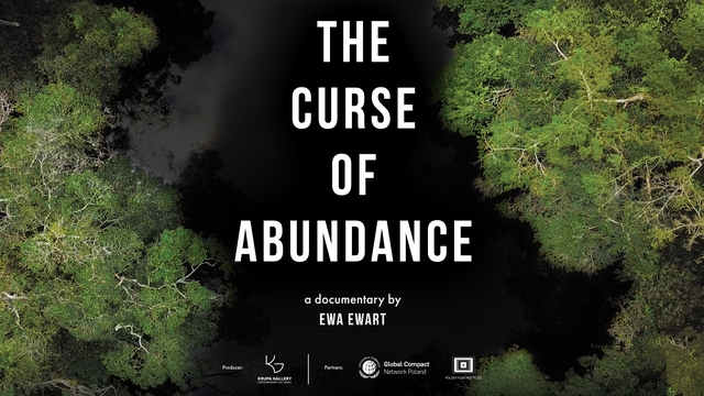 The Curse of Abundance