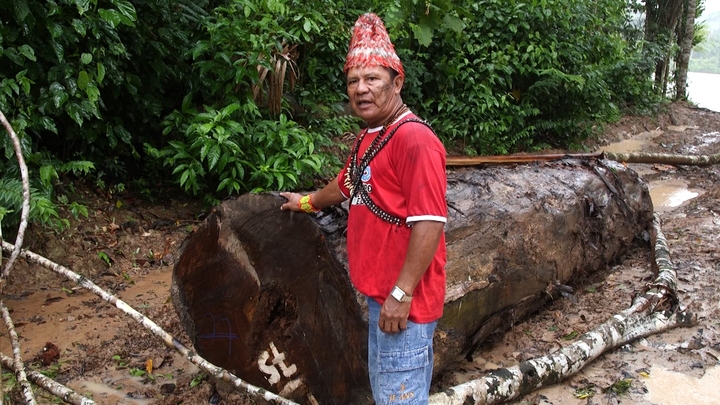 Brazil's President vs The Amazon