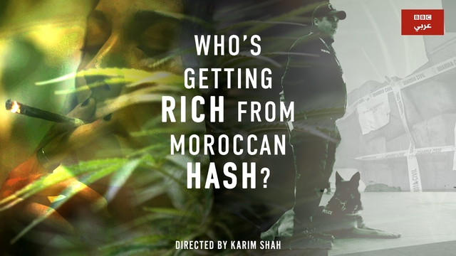 Who's Getting Rich From Moroccan Hash?