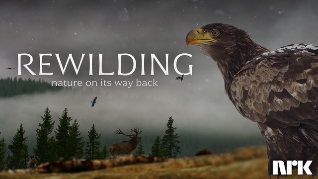 Rewilding Rewilding