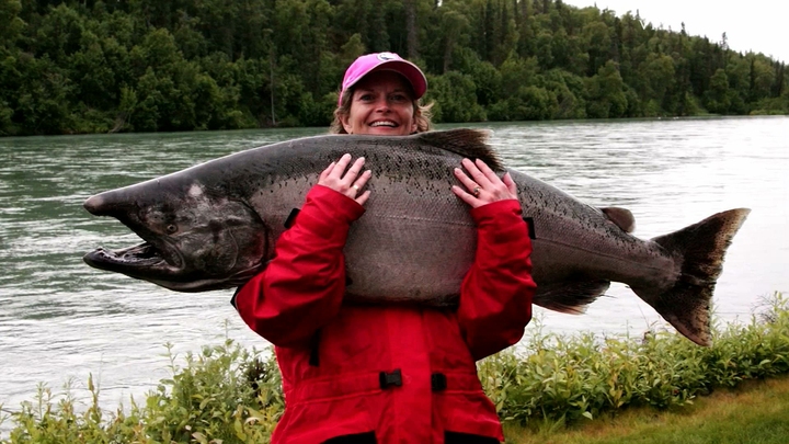 Genetically Modified Salmon