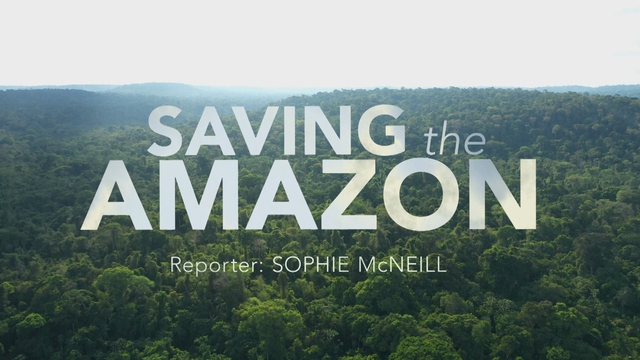 Saving the Amazon Saving the Amazon