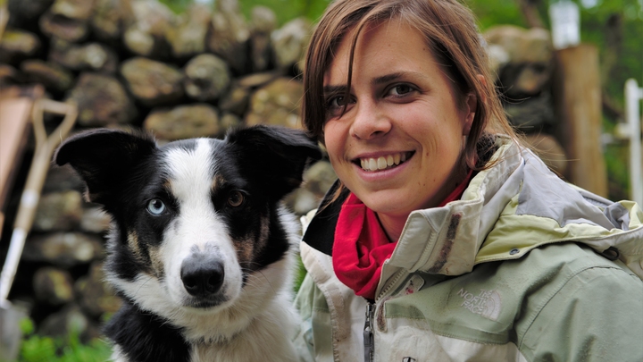 Shepherdess of Snowdonia