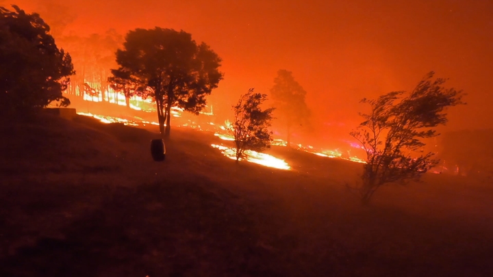 Life at 50°C: Australia & Mexico