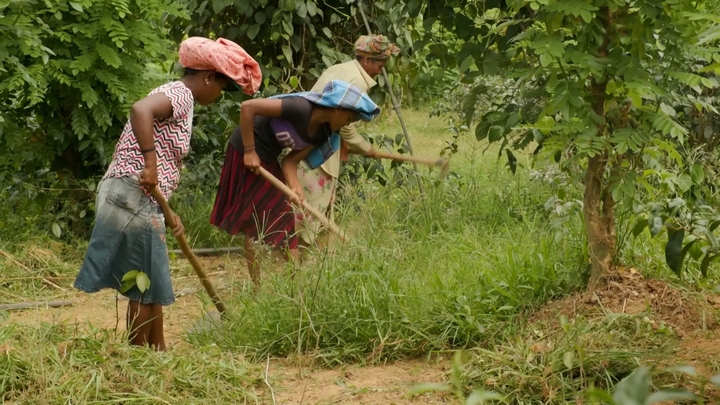 Sri Lanka's Broken Dreams