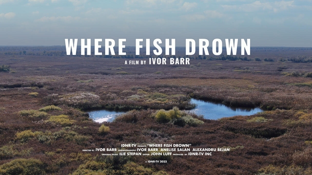 Where Fish Drown
