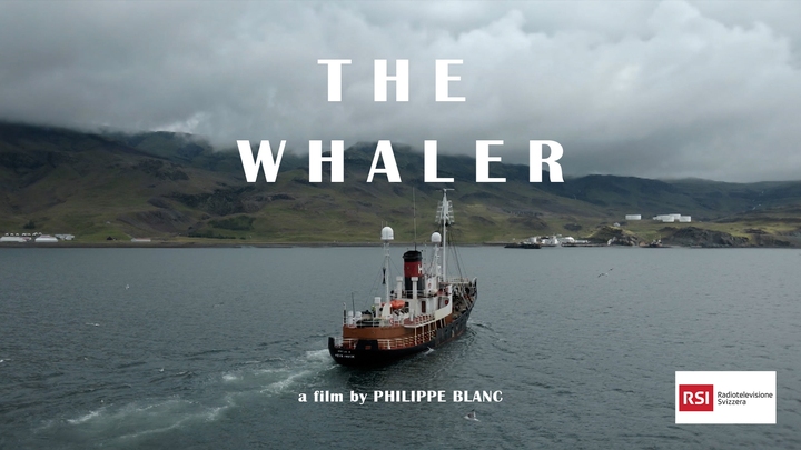 The Whaler The Whaler