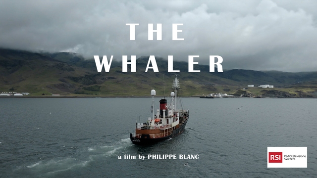 The Whaler