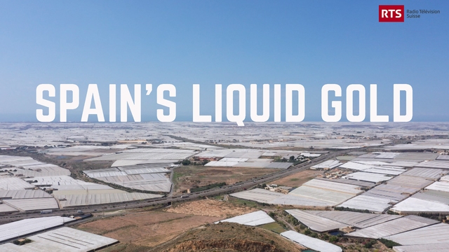 Drought: Spain's Liquid Gold