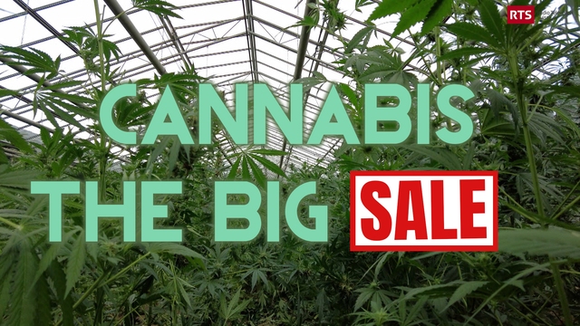 Cannabis - The Big Sale