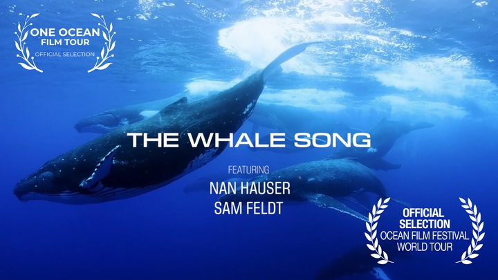 The Whale Song