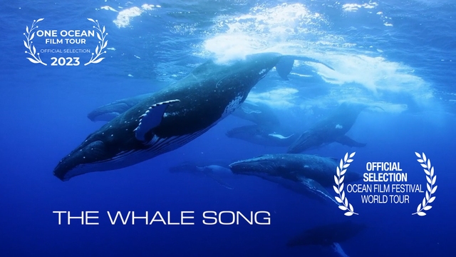 The Whale Song