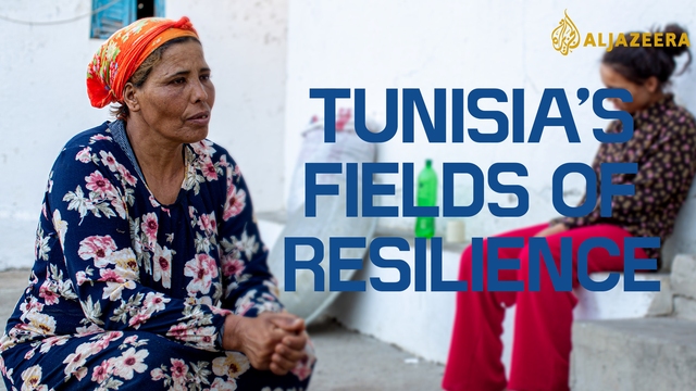 Tunisia's Fields of Resilience