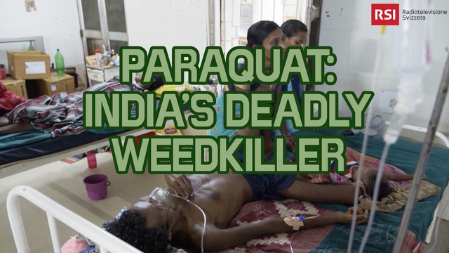 Paraquat: India's Deadly Weedkiller              