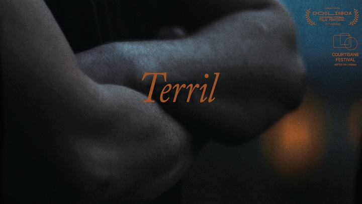 Terril