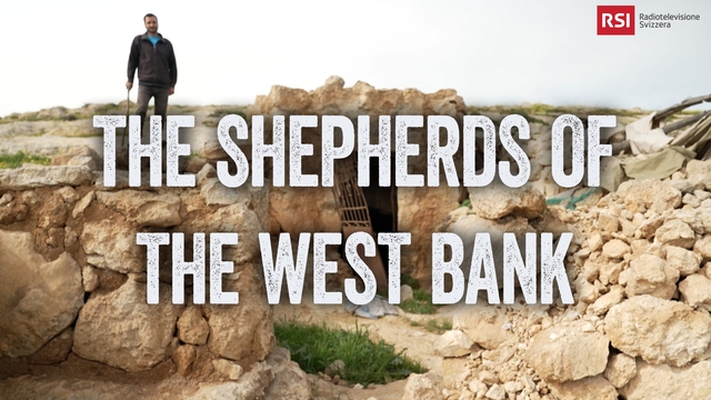 The Shepherds Of The West Bank