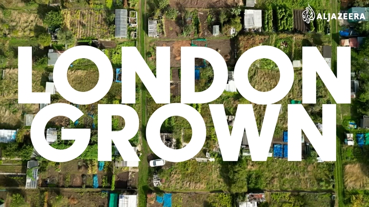 London Grown London Grown