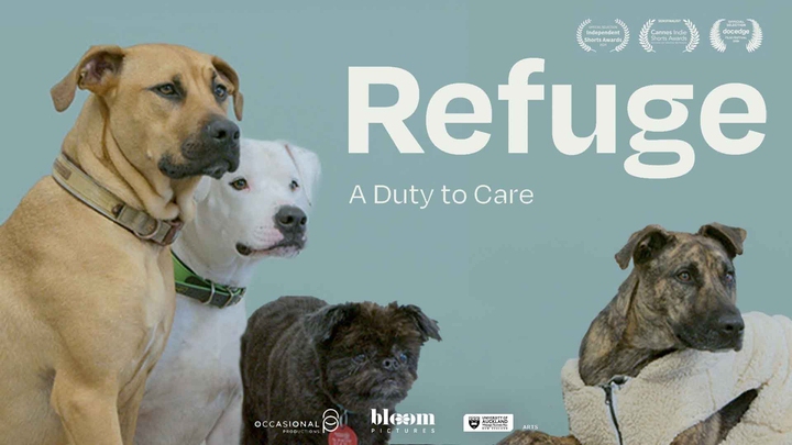 Refuge: A Duty of Care