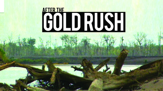 After the Gold Rush