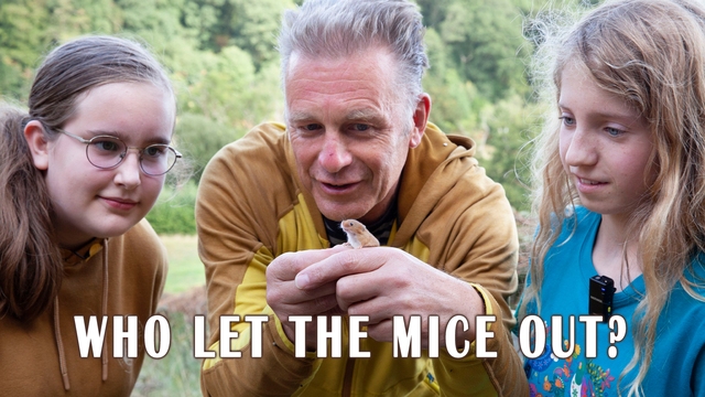 Who Let The Mice Out? Who Let The Mice Out?