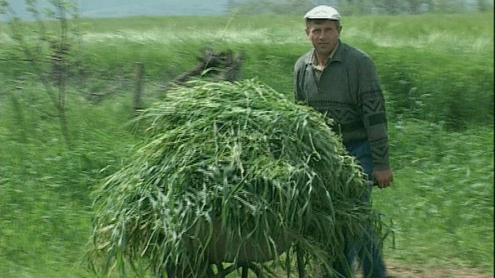 Terrorists Or Liberators